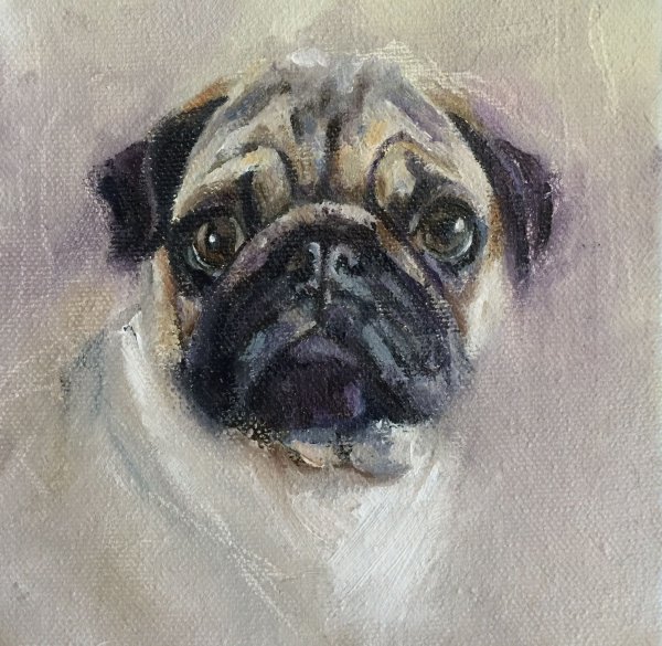 Мопс живопись