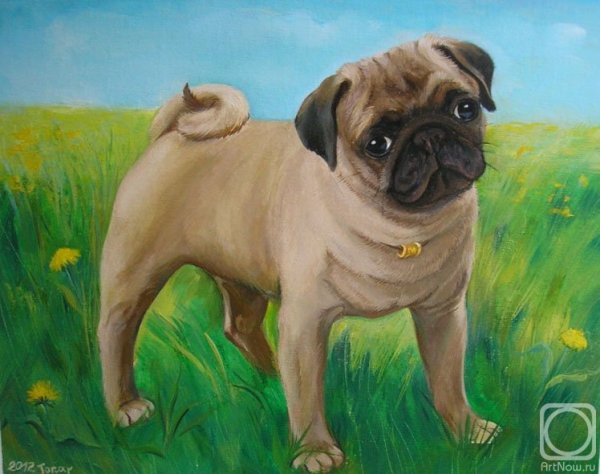 Мопс цветными карандашами