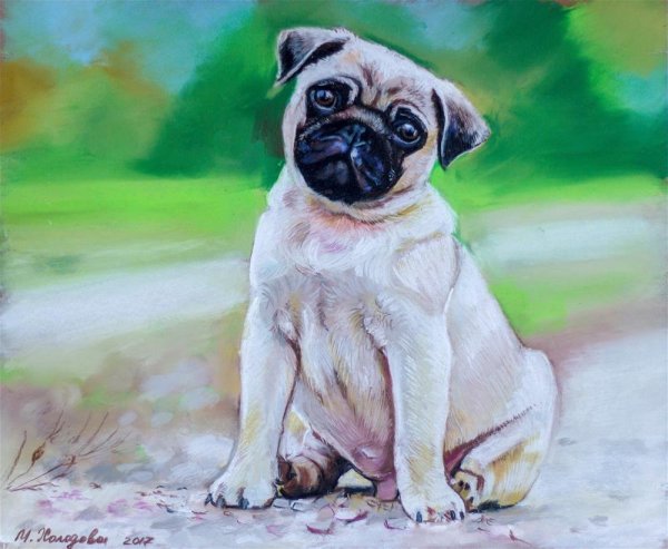 Картина мопсика