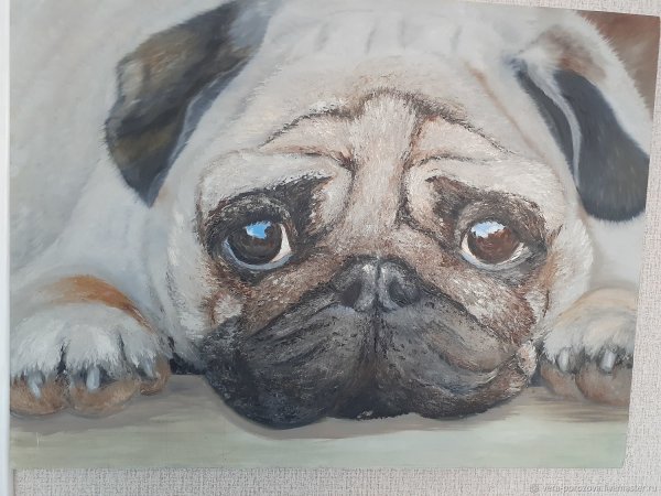 Мопс гиперреалистичная живопись Мопс