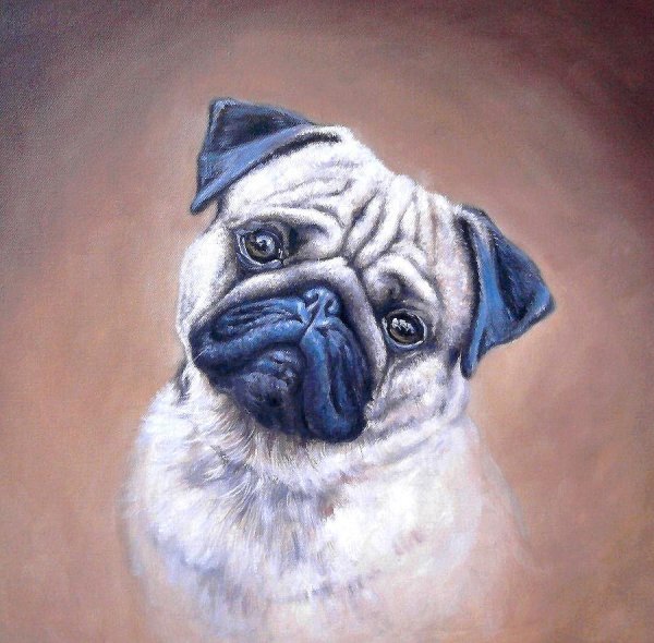 Портрет портрет МОПСА