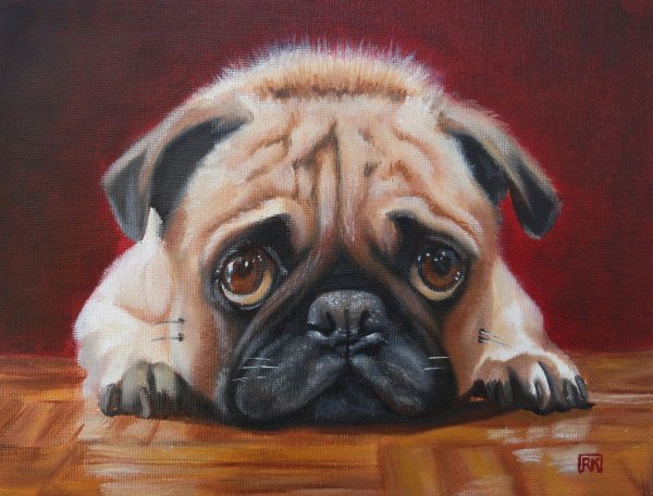 Портрет Радужного МОПСА