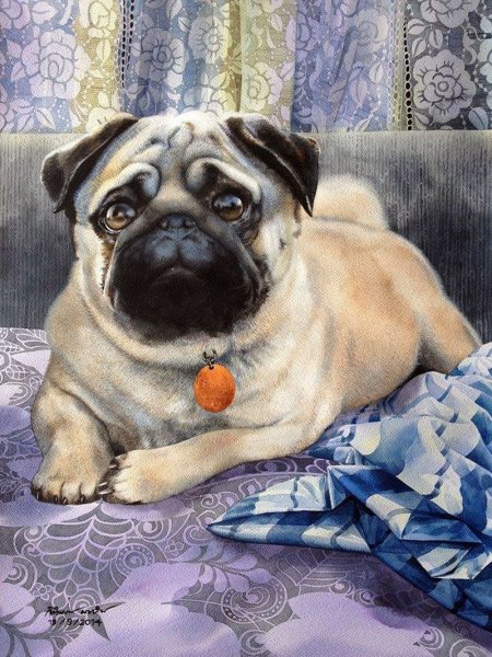 Мопс акварелью