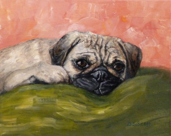 Роберт Вильямс мопсы