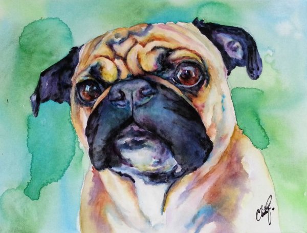 Разноцветный Мопс живопись