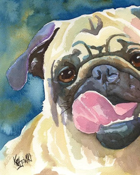 Мопс гуашью