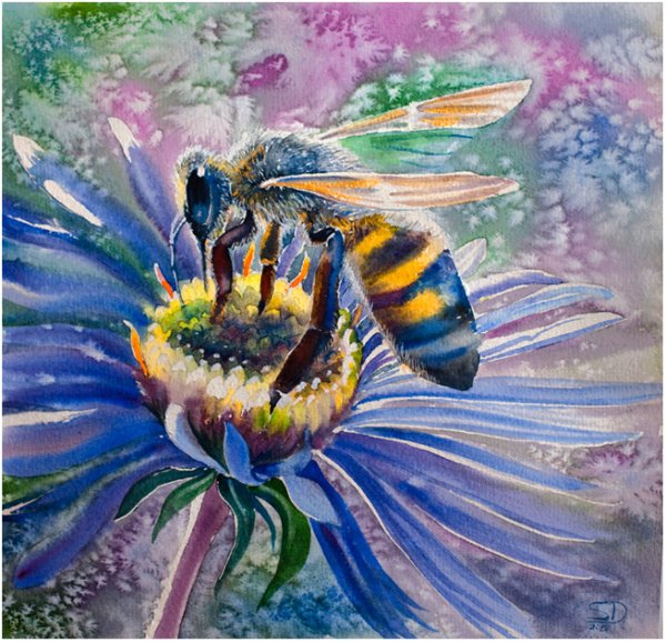 Пчела гуашью
