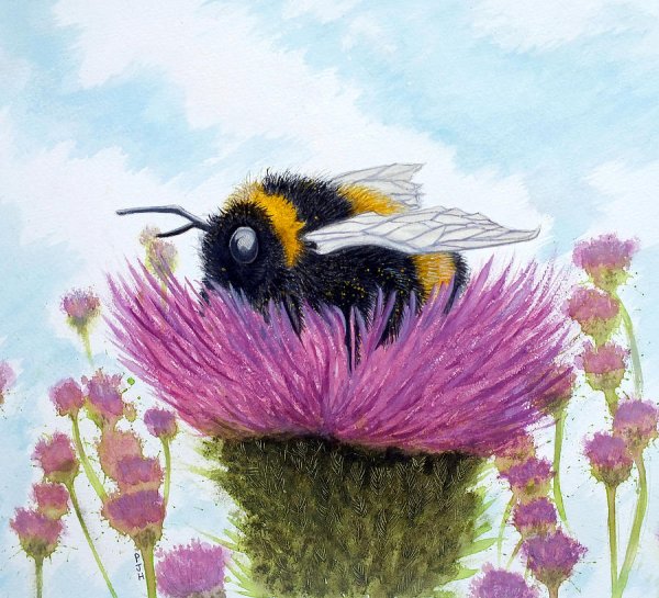 Пчела картина