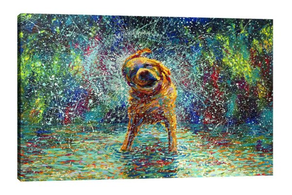 Айрис Скотт