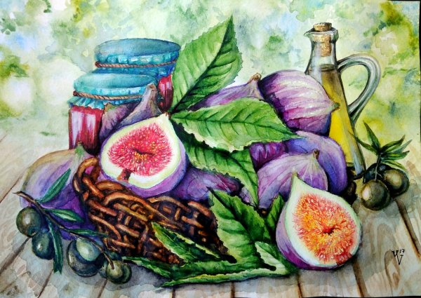 Инжир акварелью