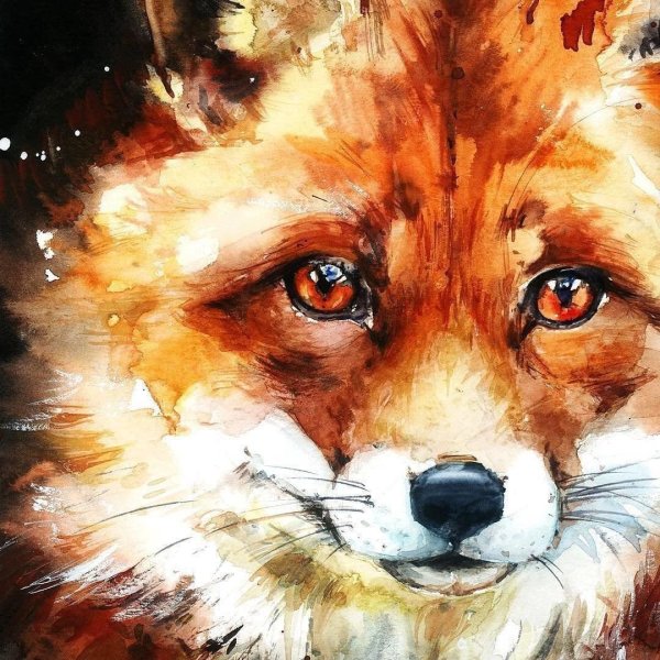 Лиса в лесу живопись