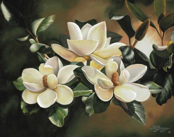 Мартин Джонсон хед Magnolias on Gold Velvet Cloth