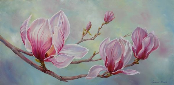 Цветок магнолии Лана Каминская