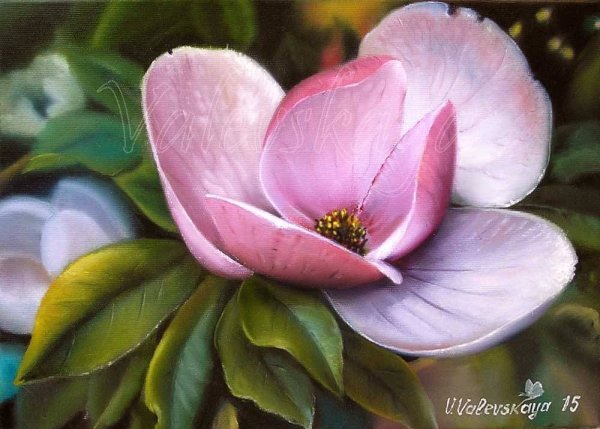 Магнолия живопись