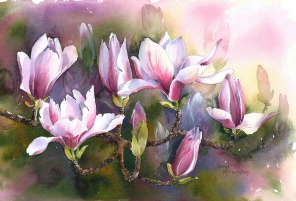 Рэйчел МАКНОТОН художник