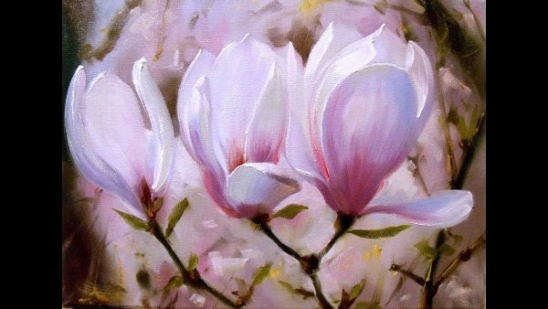 Цветы магнолии Вугар Мамедов
