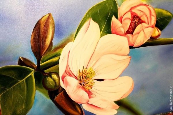 Магнолия картина маслом
