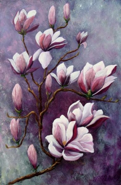 Магнолия Суланжа живопись