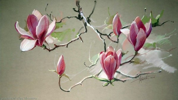 Магнолия пастелью