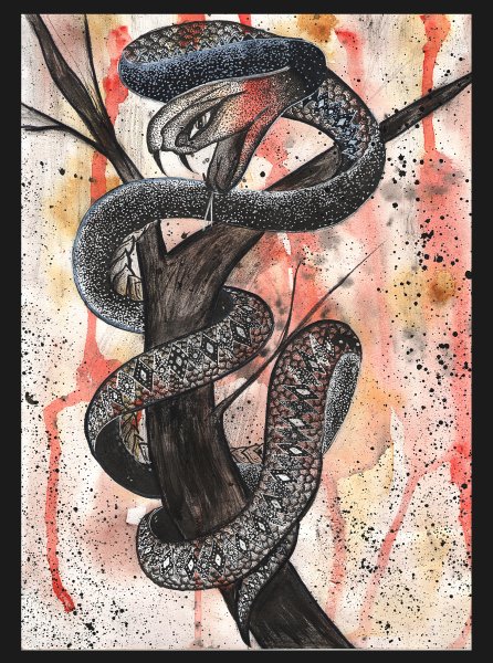 Гадюка Динника