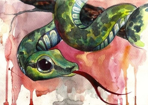 Змея гуашью