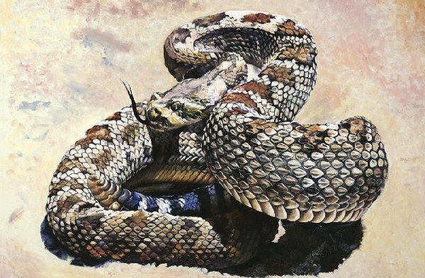 Змея маслом