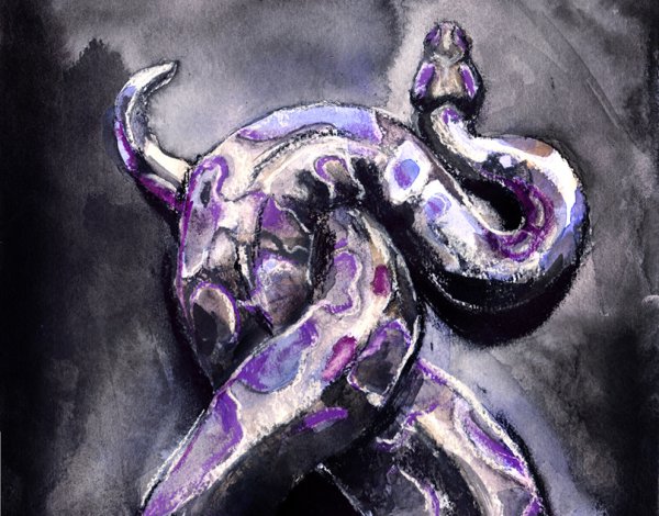 Фиолетовая змея арт