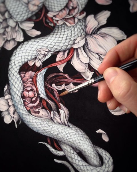 Змеи с красивым узором