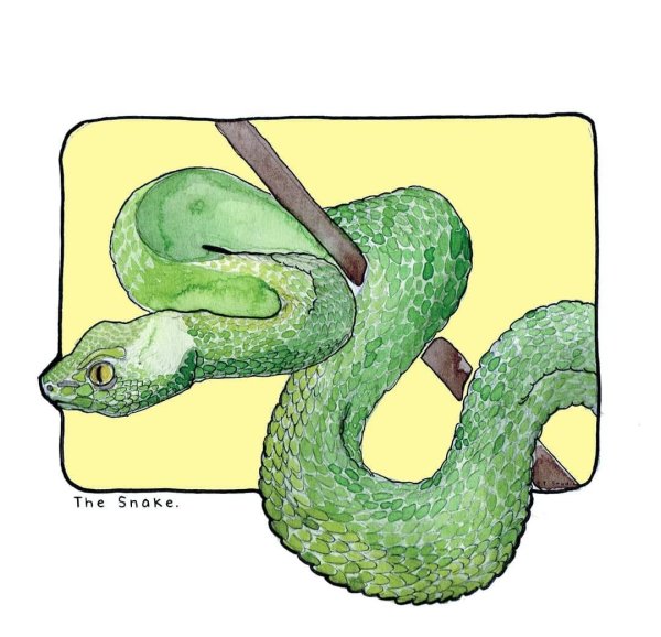 Змеи акварелью