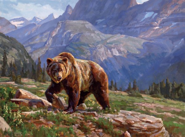 Коричневый медведь картина