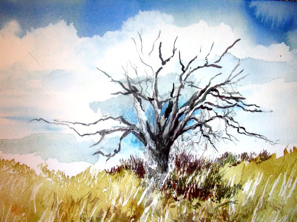 Техника сухая кисть акварелью