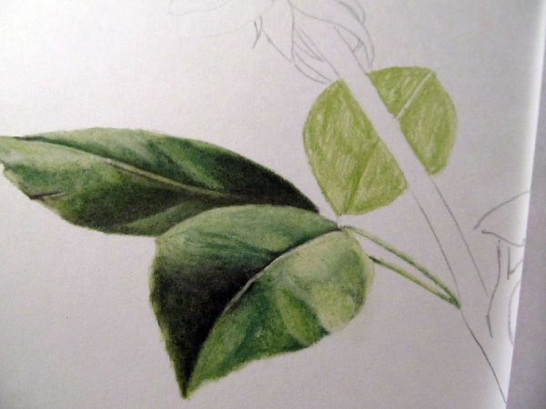 Листок пастелью