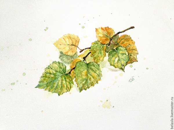 Листья деревьев акварелью