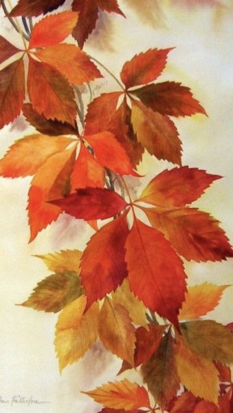 Осенние листья акварель