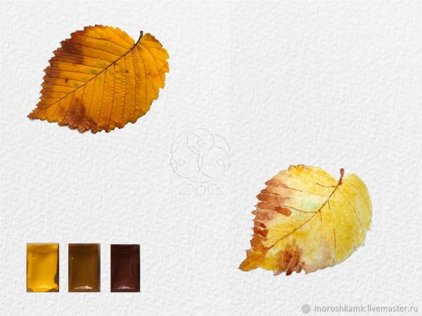 Этюд листьев акварелью