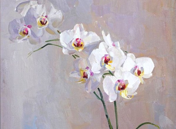 Орхидеи акрилом на холсте