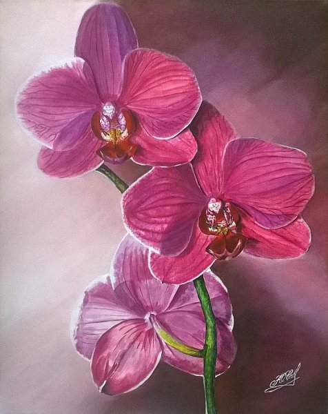 Орхидеи живопись