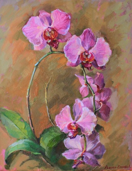 Орхидеи картины художников