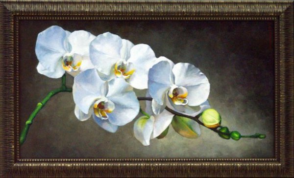 Картины орхидеи маслом на холсте