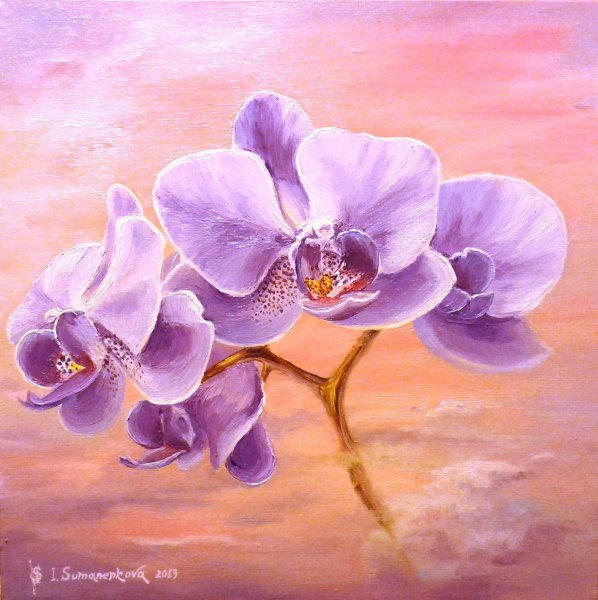 Орхидеи маслом на холсте