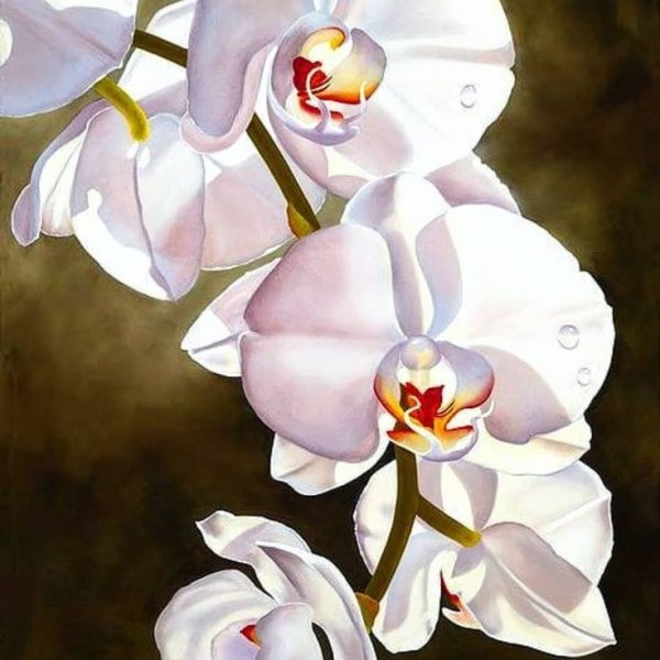Картина Орхидея