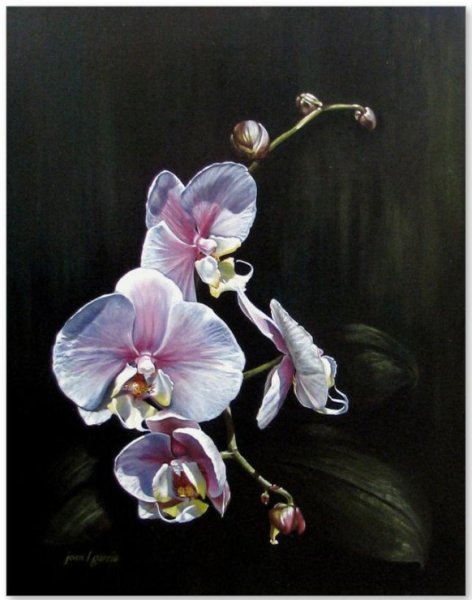 Орхидеи акрилом на холсте