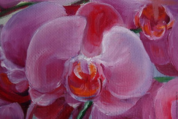 Орхидеи маслом на холсте