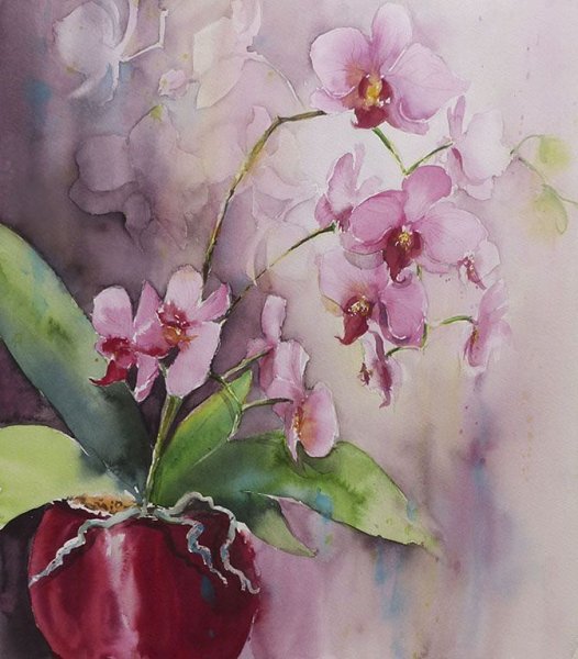 Орхидеи акварелью на картинах
