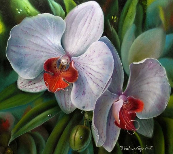 Орхидеи маслом