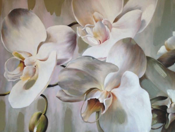 Белая Орхидея акварель