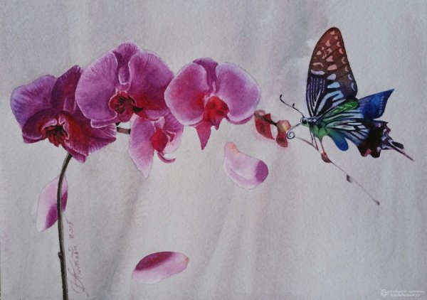 Картина Орхидея