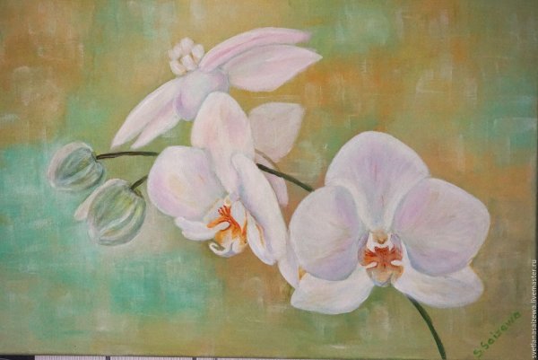 Орхидея мастихином