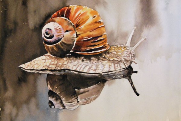 Улитка живопись