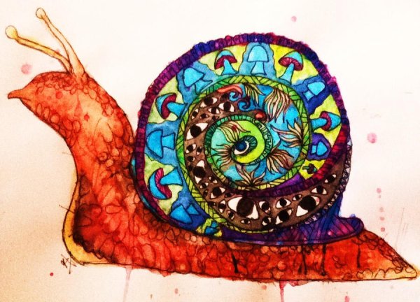 Улитка психоделика